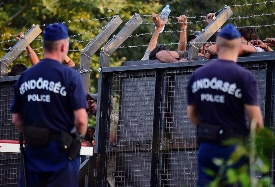 Будапешт обратился к Праге с просьбой помочь с охраной его границ с Сербией