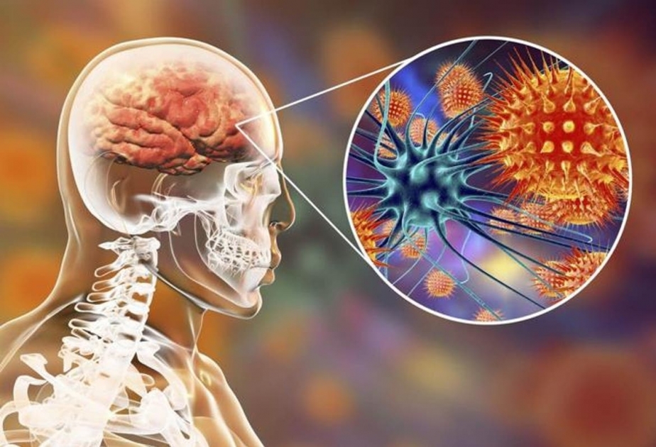 OMS promete acabar con meningitis para 2030