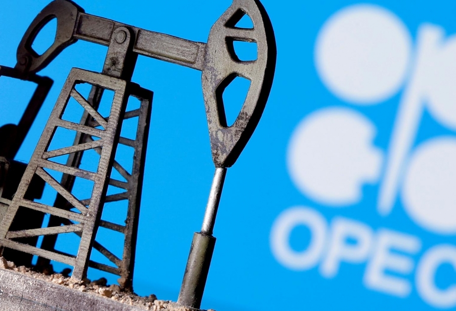 OPEC: Enerjiyə qlobal tələbat artacaq