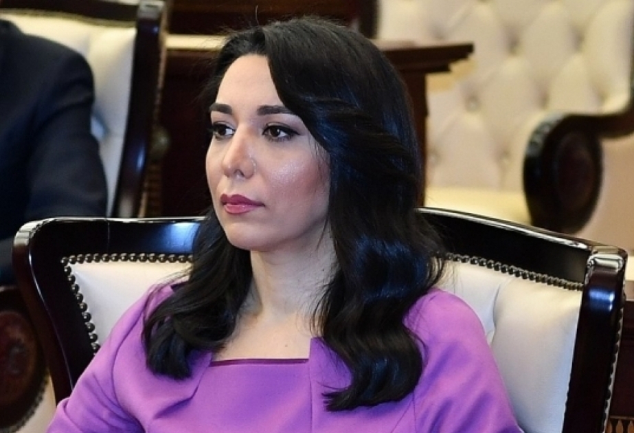Azərbaycan ombudsmanı beynəlxalq təşkilatlara bəyanat ünvanlayıb