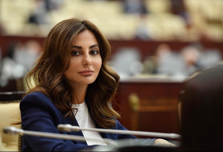 Deputat: Yeni yaranan reallığı istər region, istərsə də dünya dövlətləri qəbul etməlidir