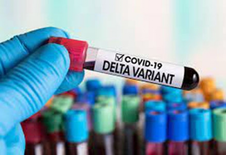 ВОЗ: «дельта» штамм коронавируса расширил свою географию за неделю со 187 до 192 стран