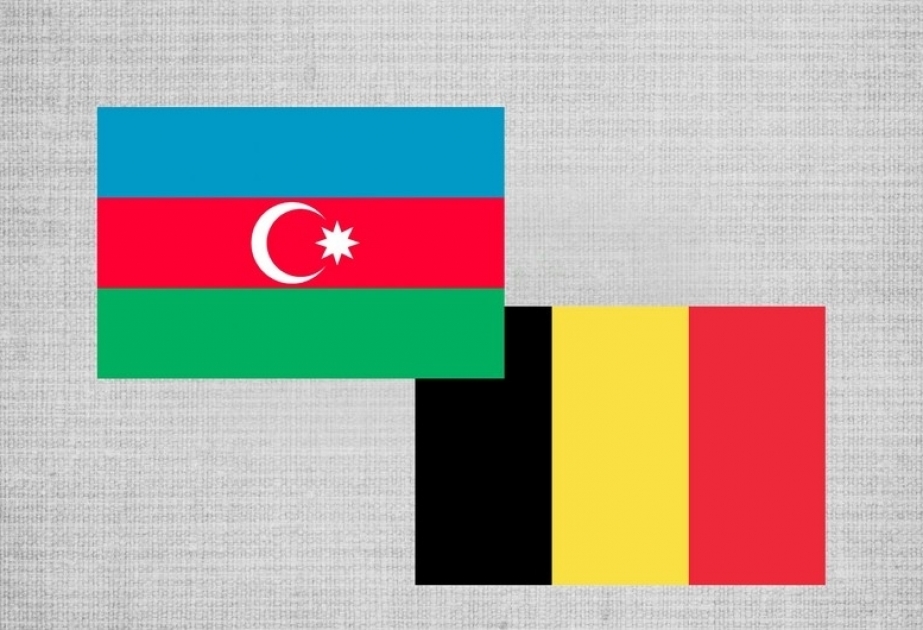 Azerbaiyán y Bélgica discuten las perspectivas de desarrollo de la cooperación en el sector de las energías renovables