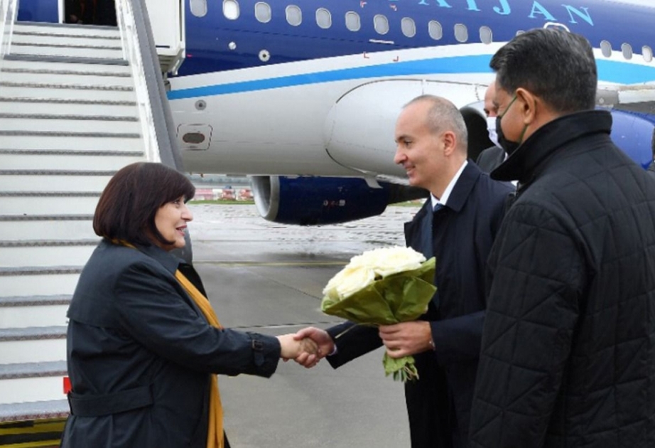 Milli Məclis sədrinin başçılığı ilə parlament nümayəndə heyətinin Slovakiyaya rəsmi səfəri başlayıb