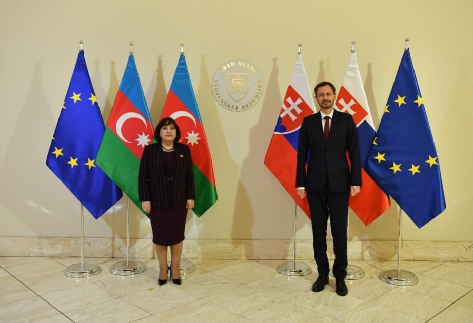 Milli Məclisin sədri Sahibə Qafarova Slovakiyanın Baş naziri Eduard Heger ilə görüşüb