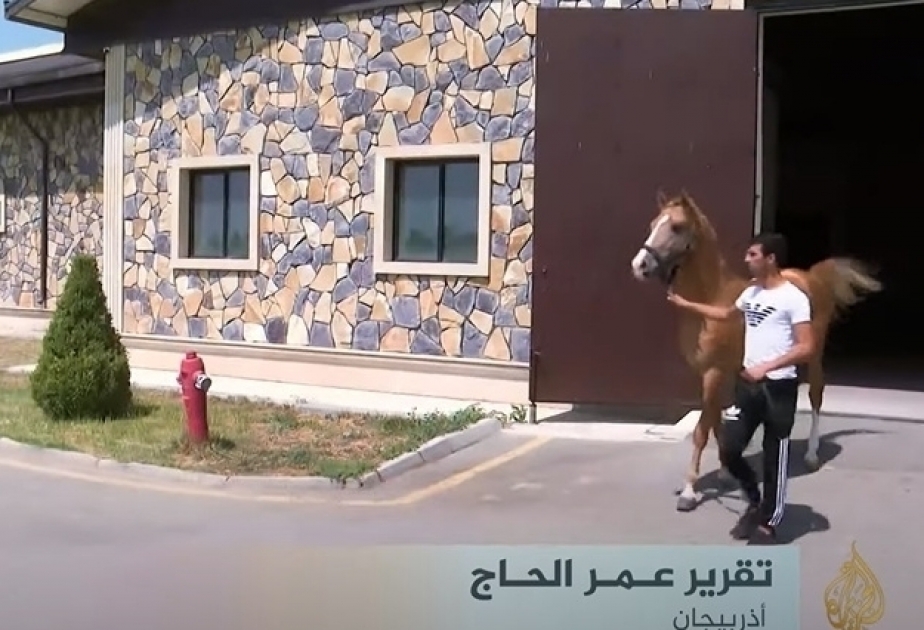 قناة "الجزيرة" تبث تقريرا مصورا عن خيول كراباخ