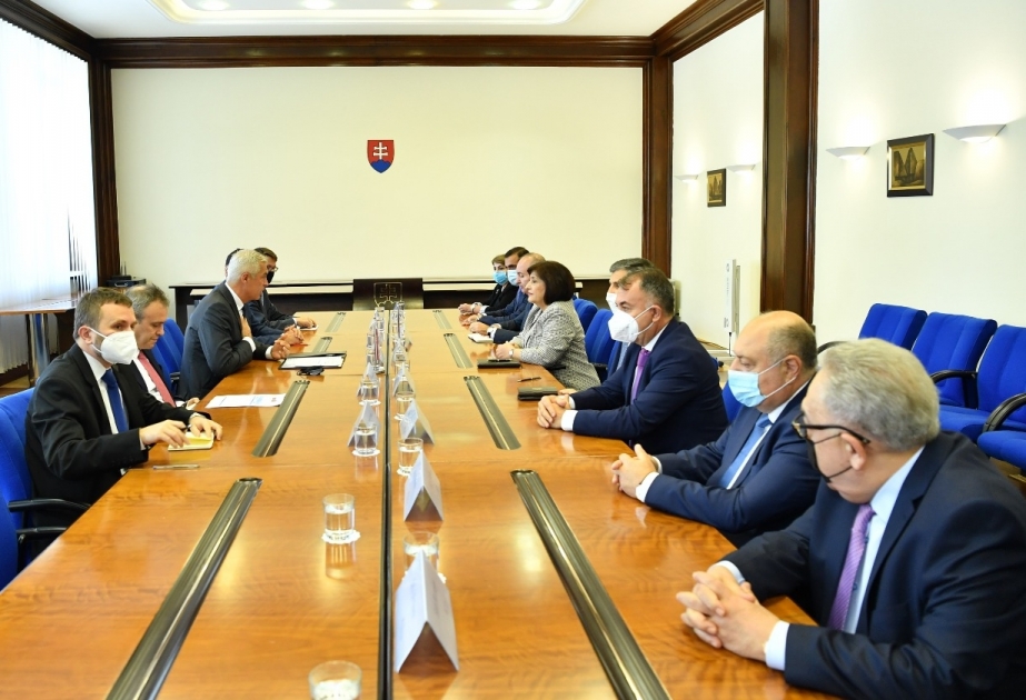 Azərbaycanla Slovakiya arasında əlaqələrin inkişaf perspektivləri ilə bağlı fikir mübadiləsi aparılıb