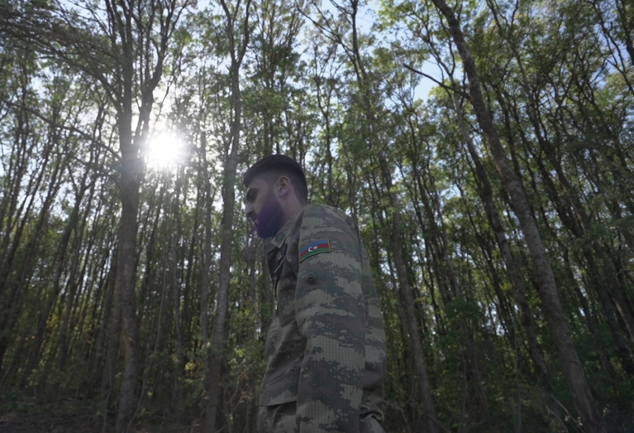 Los veteranos regresan a los territorios donde lucharon: detalles de la guerra en AzTV