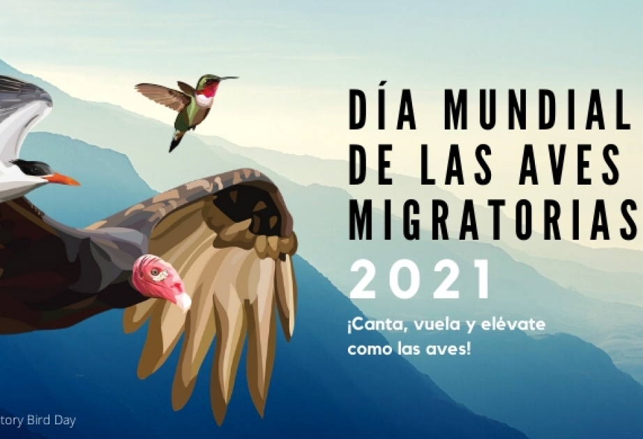 Hoy es el día Mundial de las Aves Migratorias