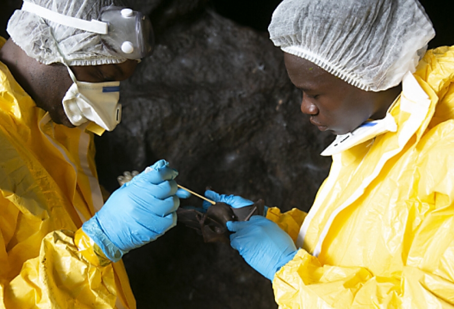 In Kongo ist das Ebolavirus zurück: Ein Junge gestorben
