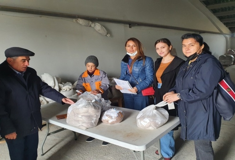 Molekulyar Biologiya və Biotexnologiyalar İnstitutunun əməkdaşları Qobustanda tədqiqat aparıblar