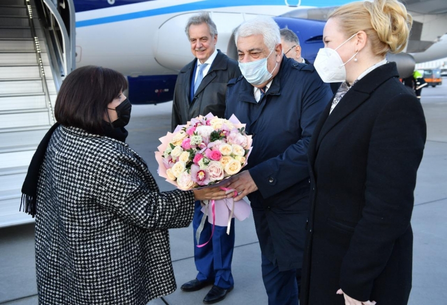 Mili Məclisin sədri Sahibə Qafarovanın başçılıq etdiyi nümayəndə heyəti Rusiyaya səfər edib