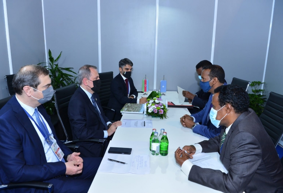 Se intercambiaron opiniones sobre la cooperación entre Azerbaiyán y Somalia en el seno de las organizaciones internacionales