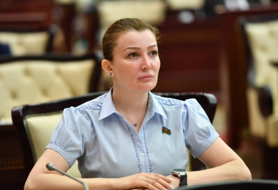 Deputat: Hadrutu azad etmək böyük qəhrəmanlıq və peşəkarlıq tələb edirdi