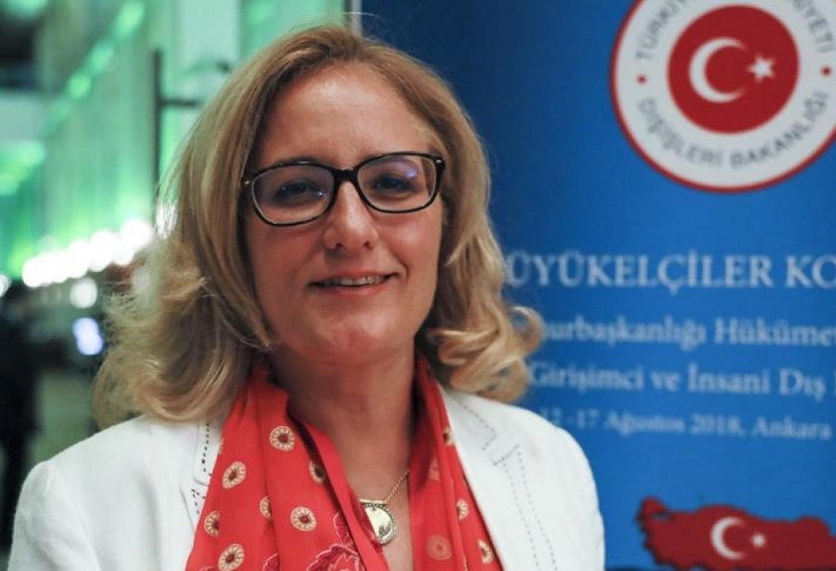 Səfir: Qars müqaviləsi bölgə ölkələri arasında sivil münasibətlərin qurulmasının mümkünlüyünü sübut edir