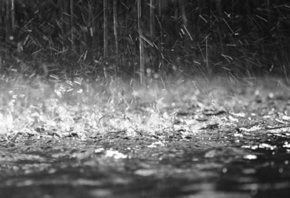 Bolqarıstanda iki meteoroloji təhlükə kodu elan edilib