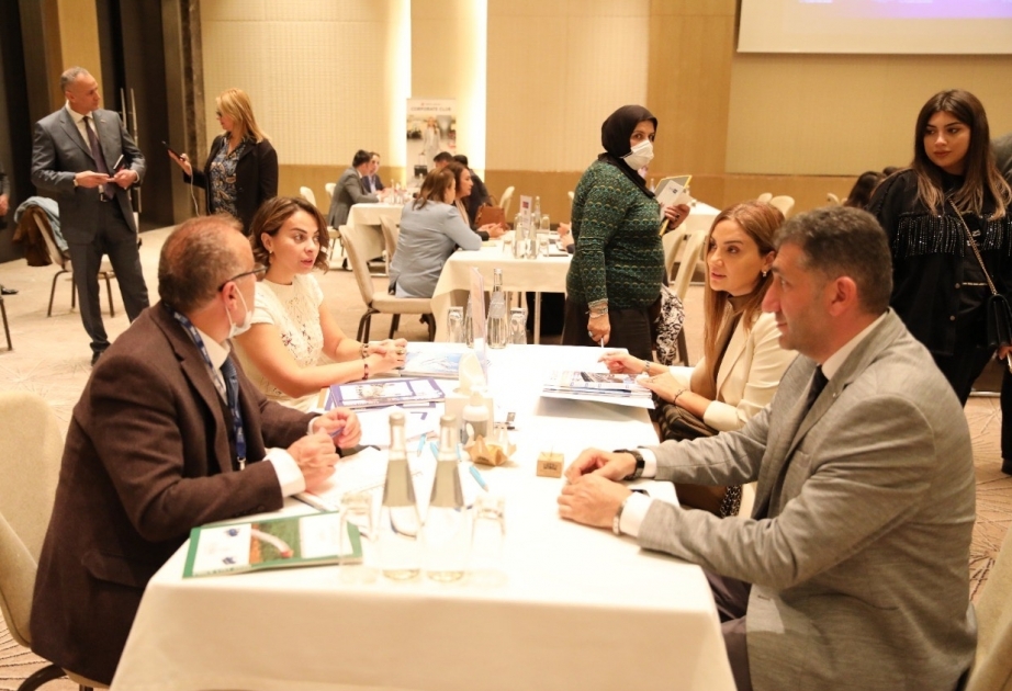 Möglichkeiten für aserbaidschanisch-türkische Geschäftsbeziehungen diskutiert