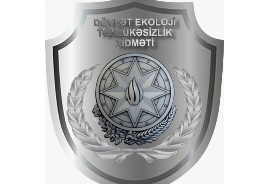 Qanunsuz yolla əldə edilmiş meşə materialı aşkarlanıb