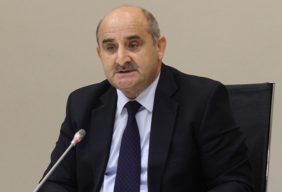 Çingiz Qənizadə: Prezident İlham Əliyevin müəyyənləşdirdiyi siyasi strategiya ermənilərin bütün yalanlarını ifşa etdi