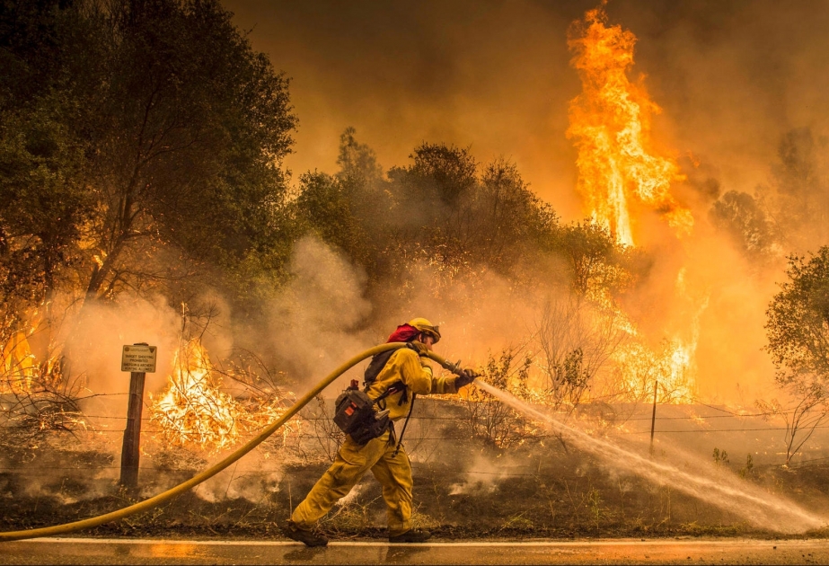 Waldbrände in Kalifornien: Hunderte Feuerwehrleute versuchen, Flammen einzudämmen