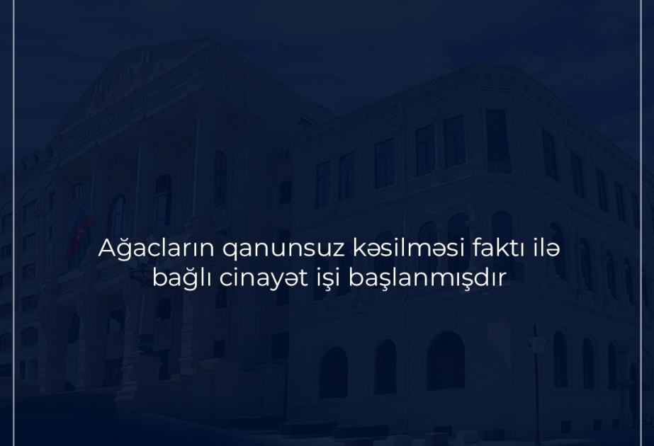 Baş Prokurorluq: Ağacların qanunsuz kəsilməsi ilə bağlı cinayət işi başlanıb