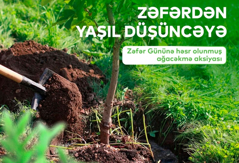 Ümumtəhsil məktəblərində “Zəfərdən yaşıl düşüncəyə” ağacəkmə aksiyasına start verilir
