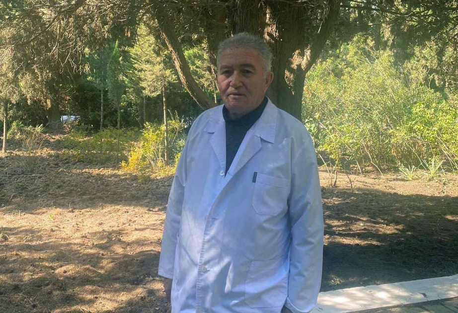 Mərkəzi Nəbatat Bağında nadir ağac bitkilərinin sayının artırılması istiqamətində işlər görülür