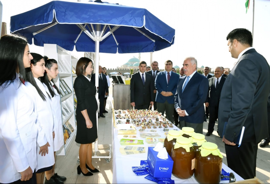 Naxçıvanda “Arıçılıq məhsulları - bal satış yarmarkası” keçirilib