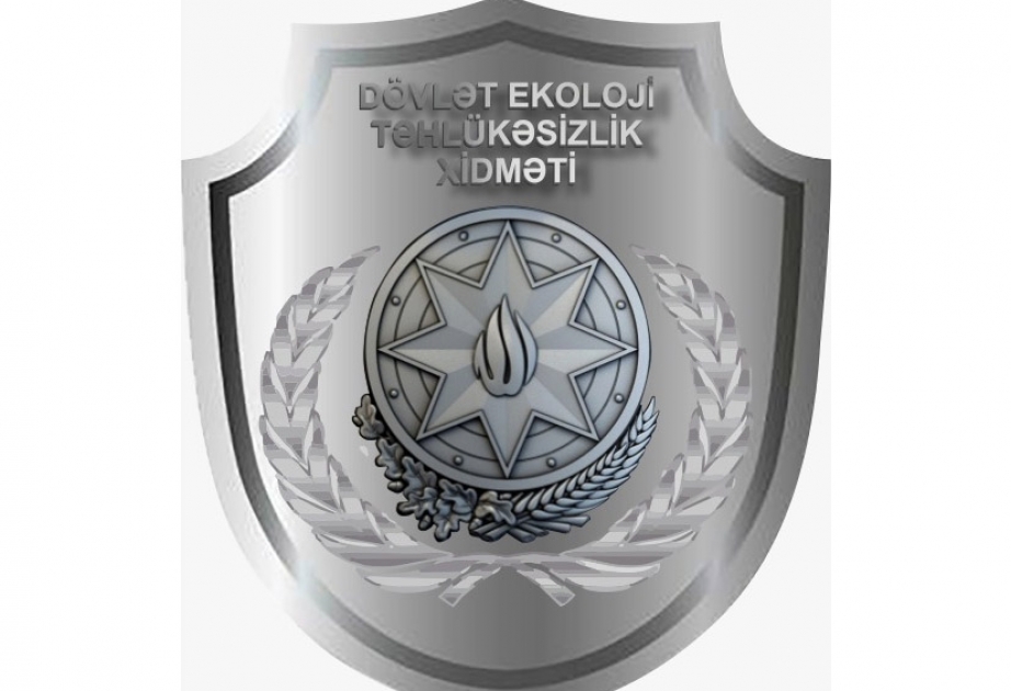 Xətai rayonunda ağacların qurumasının səbəbi araşdırılır