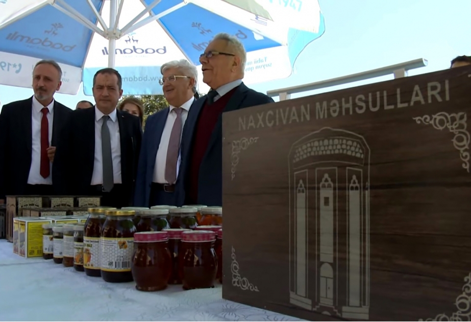Forum iştirakçıları Naxçıvanın mədəniyyət, səhiyyə müəssisələri ilə tanış olublar