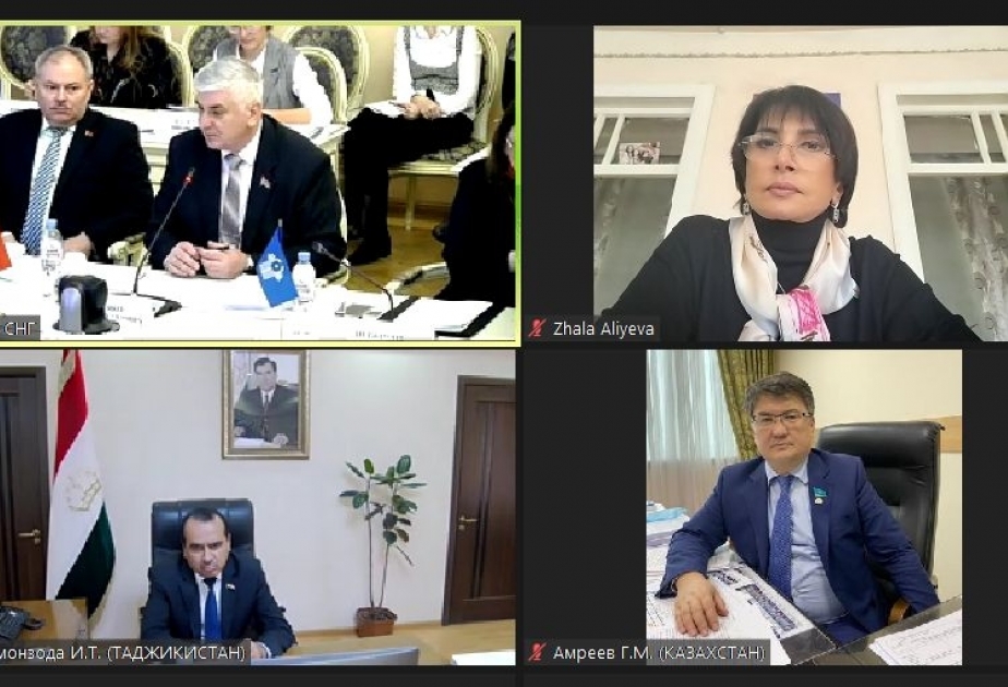 MDB PA-nın komissiyalarının və səhiyyə üzrə ekspert şurasının iclası keçirilib