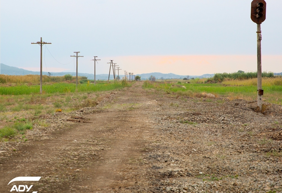 Одинокий светофор, который 30 лет ждал на заброшенных землях момента подать сигнал «проезжай»