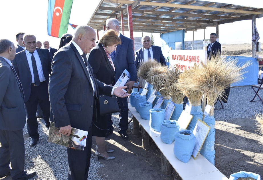Genetik Ehtiyatlar İnstitutunun Qarabağ Elmi-Tədqiqat Bazasının infrastrukturunun bərpası ilə bağlı tarla seminarı keçirilib VİDEO