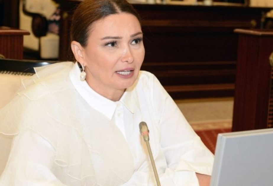 Qənirə Paşayeva: Qubadlı əməliyyatı hərbçilərimizdən fədakarlıq və xüsusi peşəkarlıq tələb edirdi