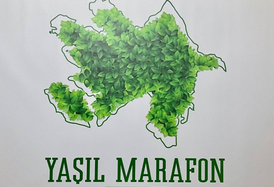 “Yaşıl Marafon” kampaniyası çərçivəsində bu gün 8350 müxtəlifcinsli ağac əkilib