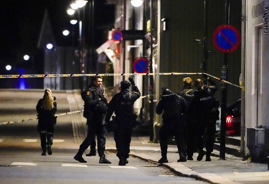 Норвежская полиция насчитала 24 человека, пострадавших в результате нападения в городе Конгсберг