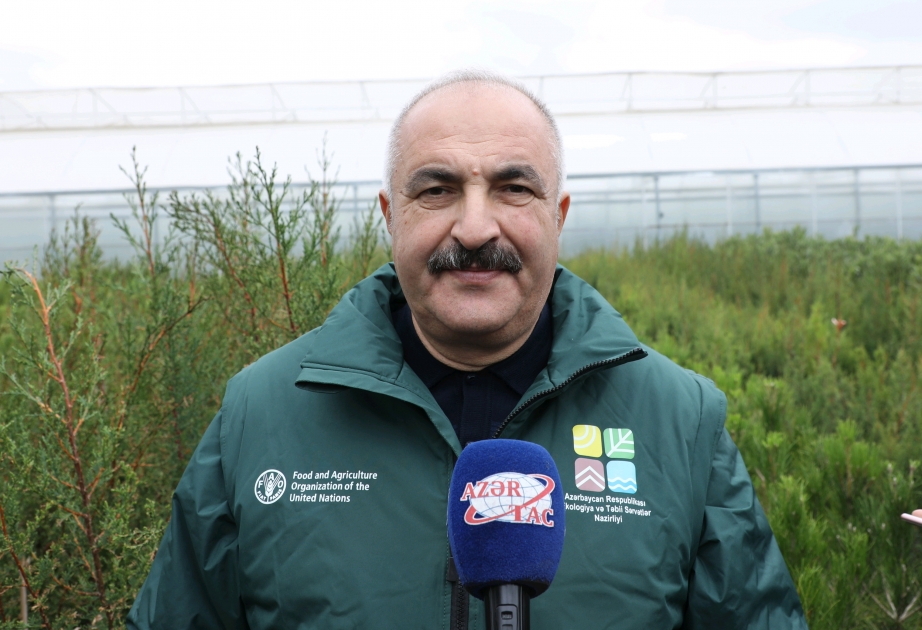 “Yaşıllaşdırma və Landşaft Quruluşu" ASC-nin yetişdirdiyi bitkiləri ilin istənilən ayında yaşıllaşdırma işlərində istifadə etmək mümkündür