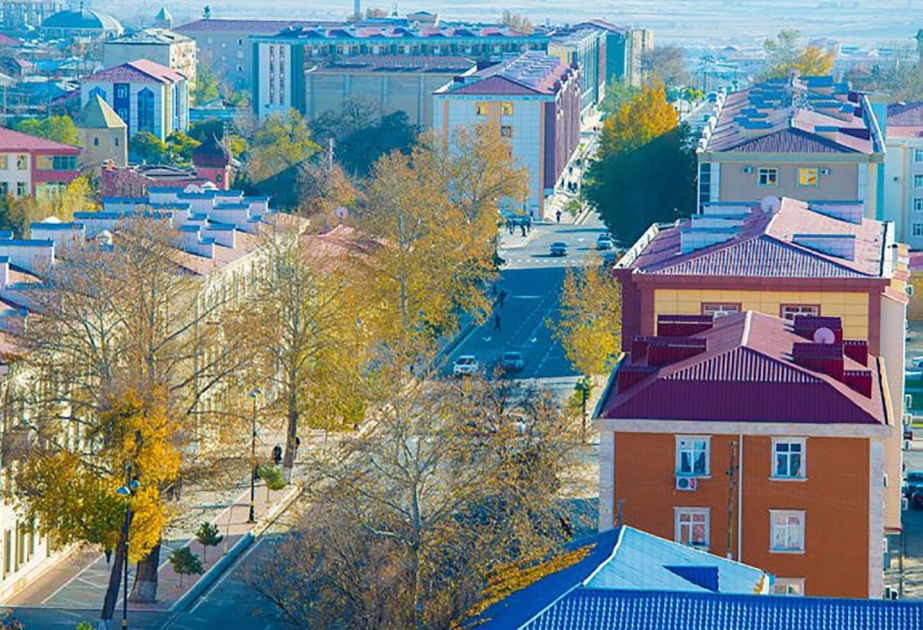 Naxçıvanda 14 şəhid ailəsinə mənzil verilib