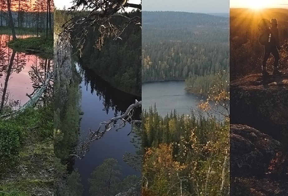 Unesco-Studie: Manche Nationalparks stoßen mehr CO₂ aus, als sie absorbieren