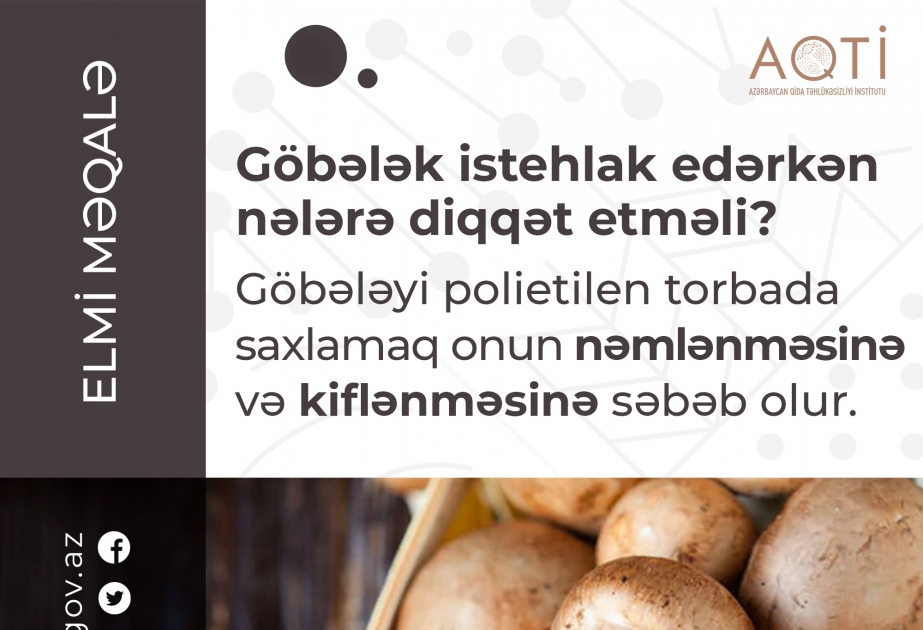 Göbələkdən zəhərlənmə hallarına ilin müxtəlif fəsillərində, əsasən də yaz və payızda rast gəlinir