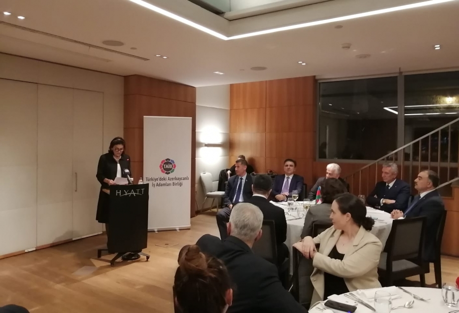 İstanbulda şanlı Zəfərimizin birinci ildönümü və Türkiyənin Respublika Günü münasibətilə tədbir keçirilib VİDEO