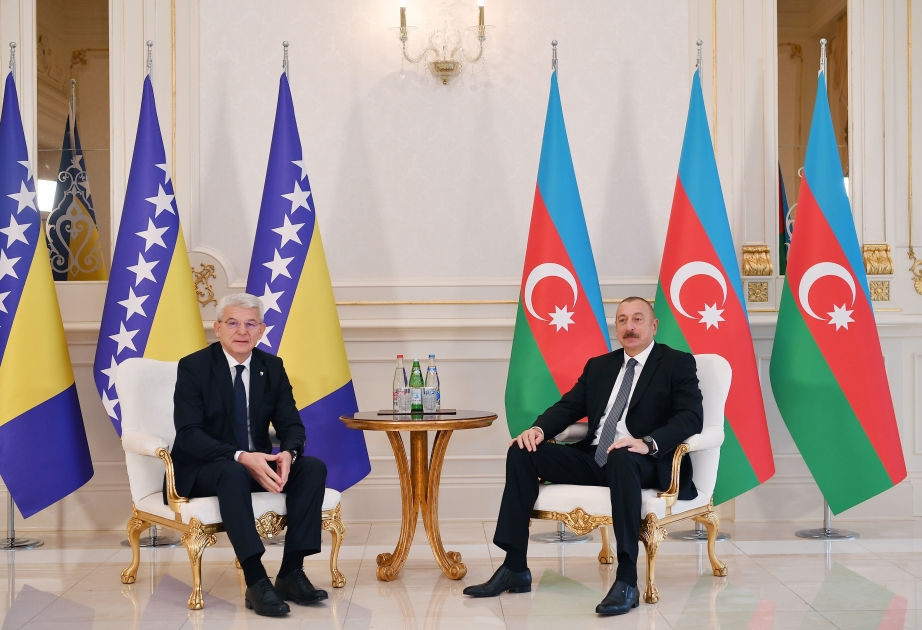 Le président azerbaïdjanais rencontre le membre bosniaque de la présidence collégiale de la Bosnie-Herzégovine VIDEO