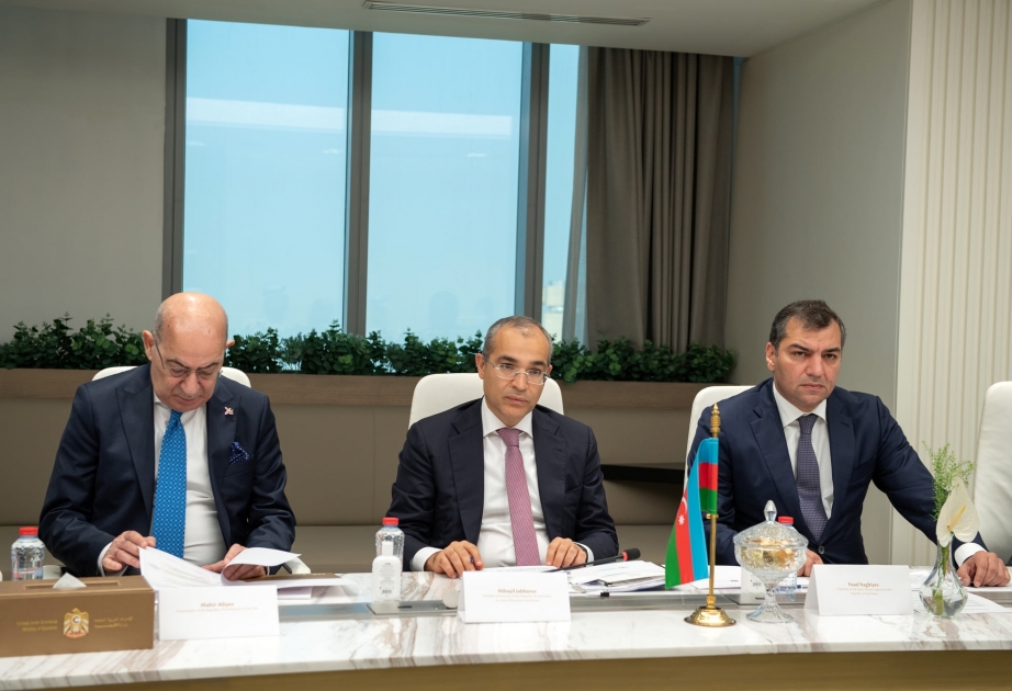 Azərbaycan və Birləşmiş Ərəb Əmirlikləri “yaşıl enerji” sahəsində müzakirələr aparıb