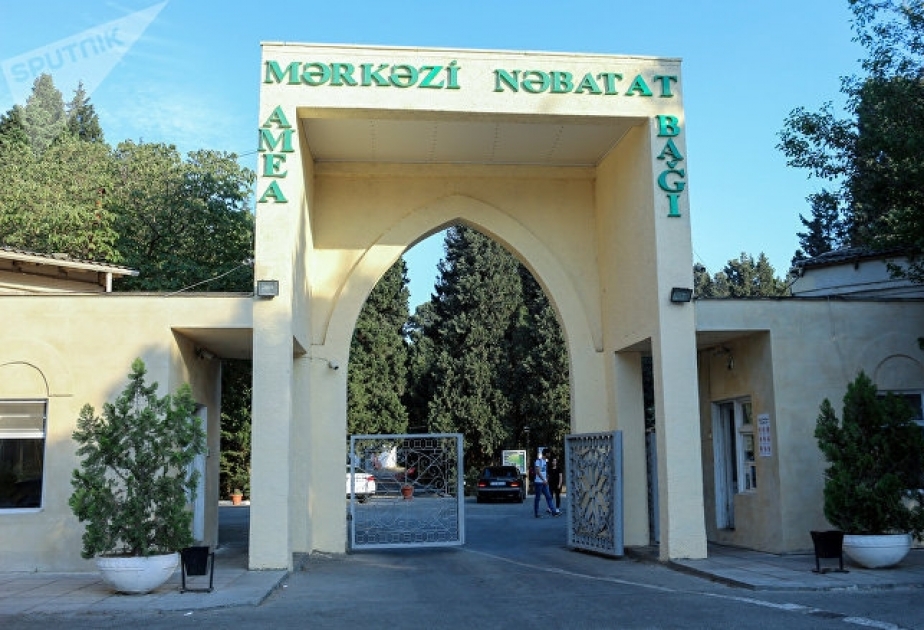 Mərkəzi Nəbatat Bağında Qarabağın bitki müxtəlifliyini əks etdirən guşələr yaradılacaq