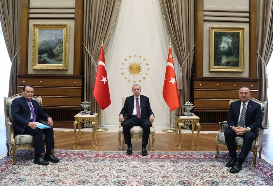 Türkiyə Prezidenti Türk Şurasının Baş katibini qəbul edib