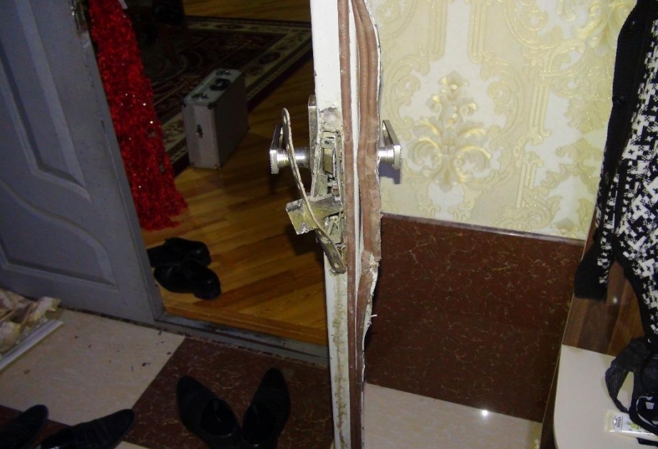 Balakən rayonunda oğurluq edən iki nəfər saxlanılıb