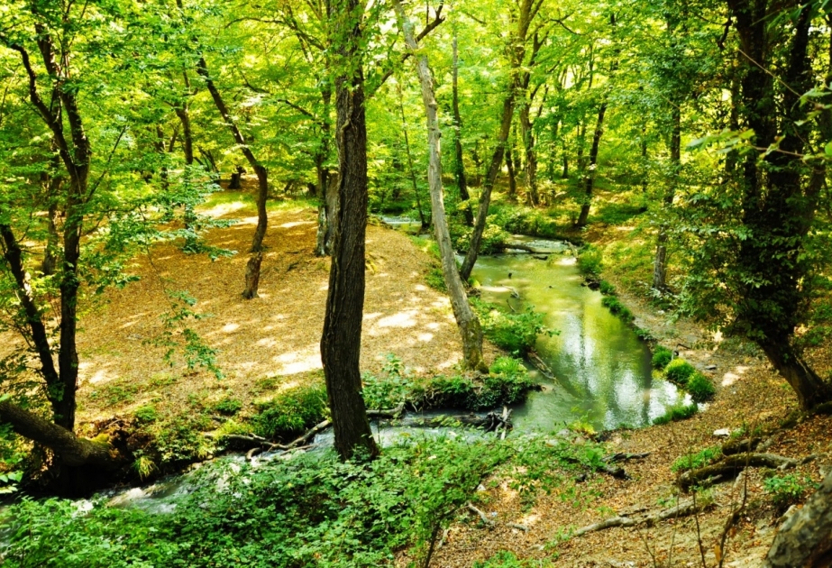Samur-Yalama Milli Parkında “açıq qapı” günü keçiriləcək