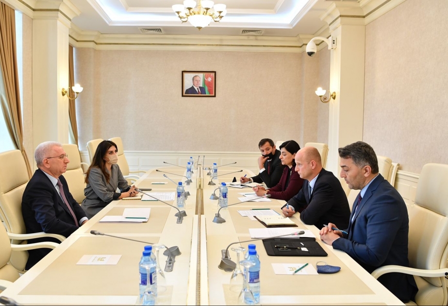 Milli Məclislə UNICEF arasında əməkdaşlıq məsələləri müzakirə olunub