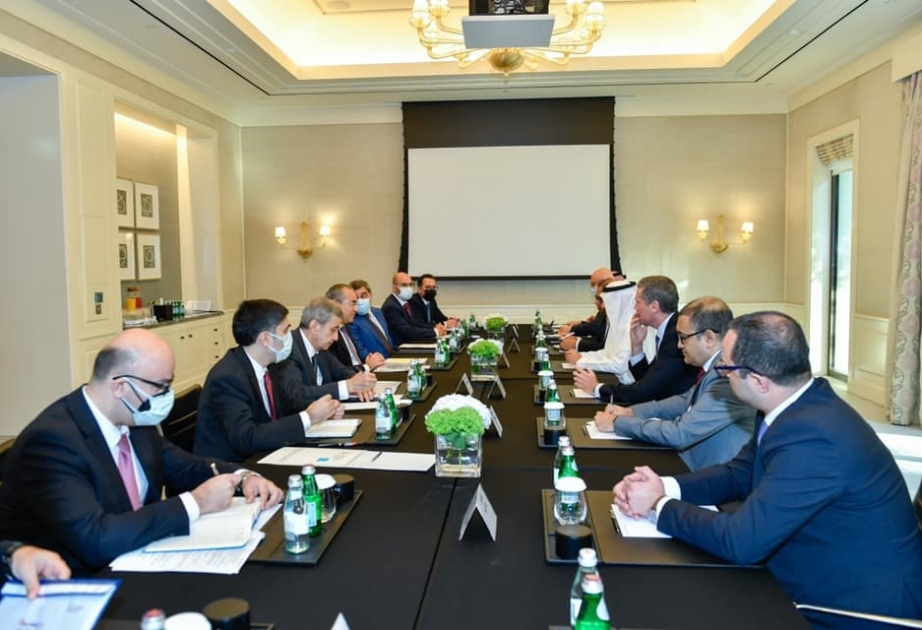 “ACWA Power” şirkəti ilə külək elektrik stansiyalarının tikintisi müzakirə olunub