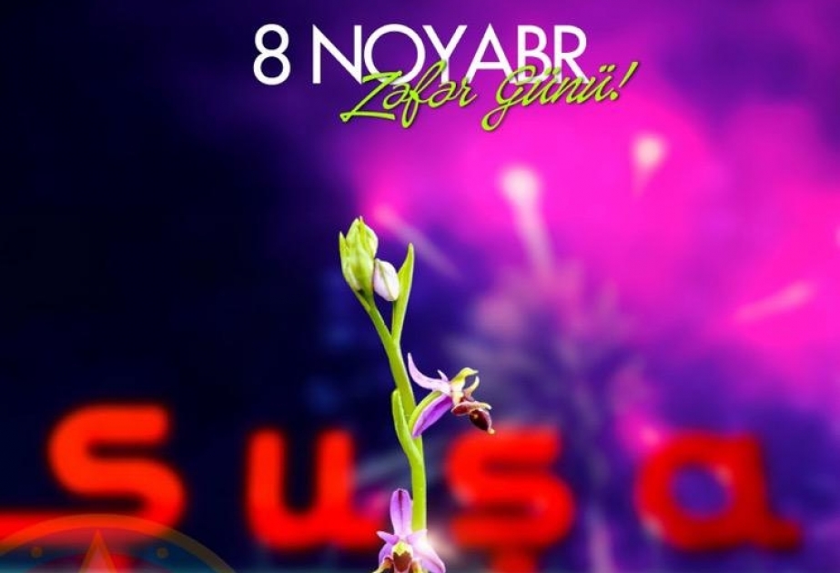 Prezident İlham Əliyev Zəfər Günü ilə əlaqədar paylaşım edib